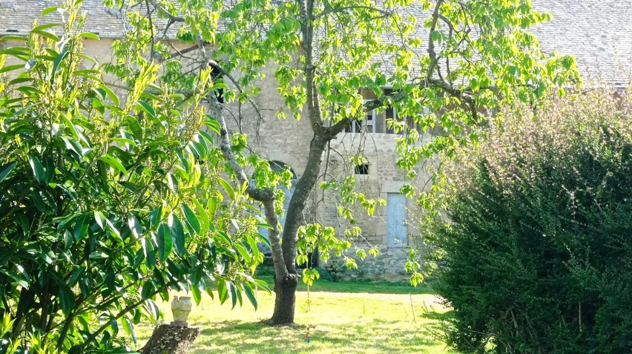 Appartement Maris Domus Pres Des Plages Du Debarquement